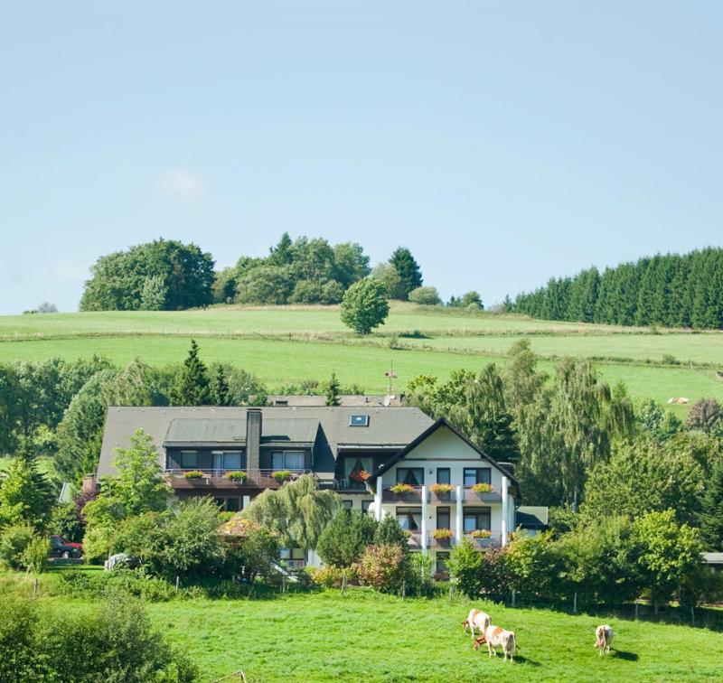 Haus Alexandra Inkl Meinecard Apartment Willingen (Upland)